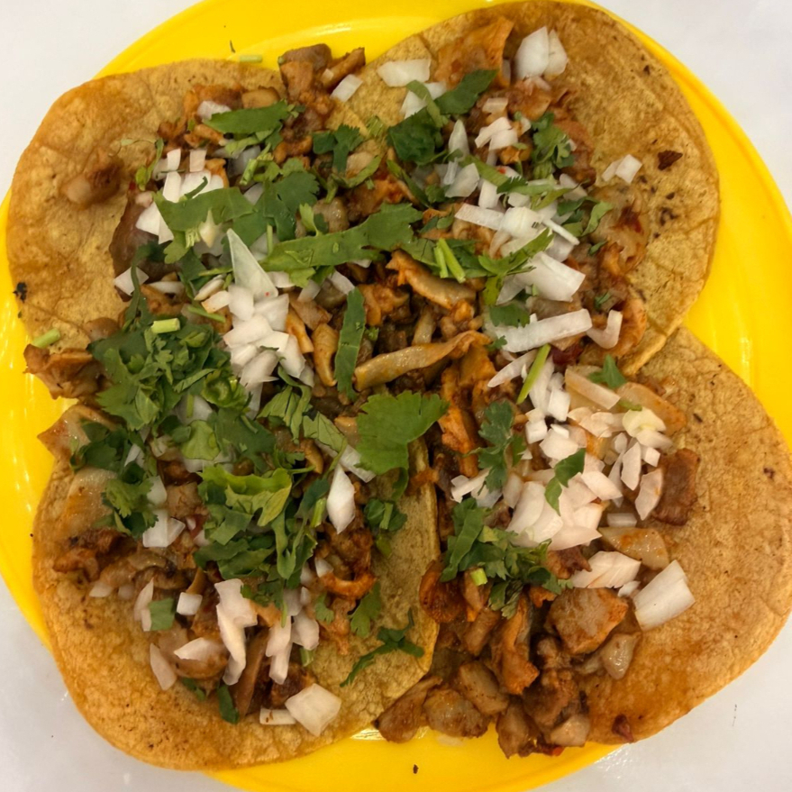TACOS BUCHE