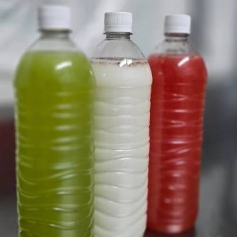Aguas Frescas de la casa Embotelladas 500 ml