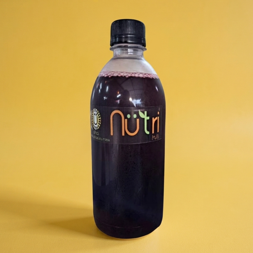 Agua de Jamaica 500 ml
