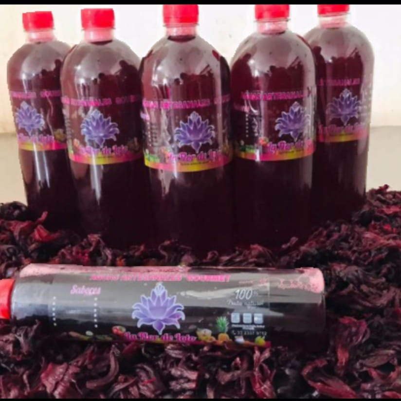 Agua de Jamaica 500ml