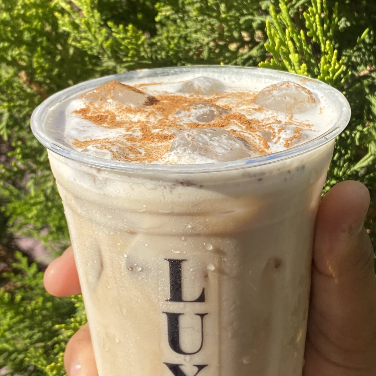 LATTE EN LAS ROCAS NATURAL