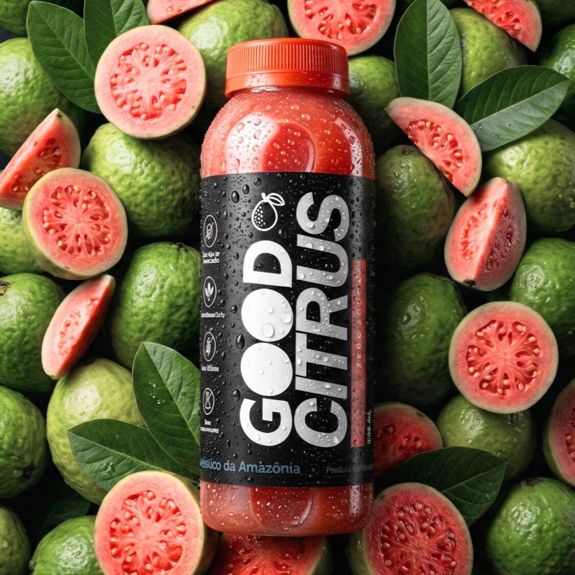 GOIABA GOODCITRUS 300ml Zero Açúcar ? Natural ? Sem Conservante Suco de goiaba como tem que ser: encorpado, refrescante e com o sabor real da fruta. 100% natural, sem conservantes e zero açúcar. É saúde no copo, direto da Amazônia ? pra quem valoriza o que é de verdade. Beba gelado. Sinta a diferença.
