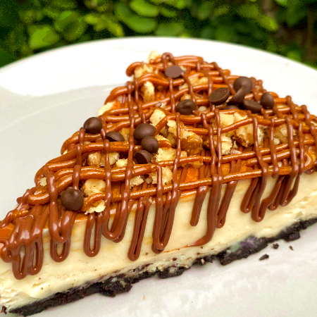 Cheesecake Tortuga