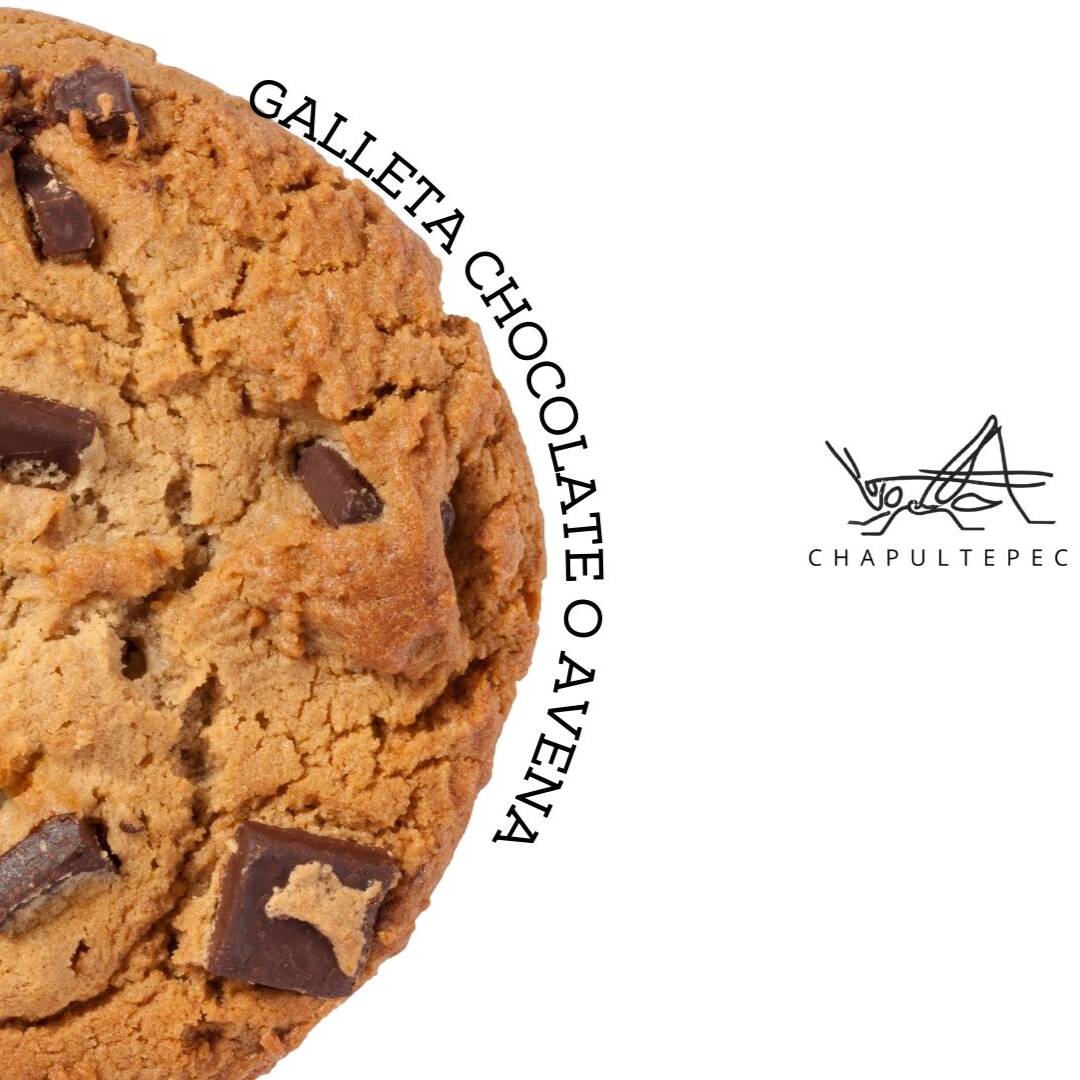 Galleta de Chispas de Chocolates