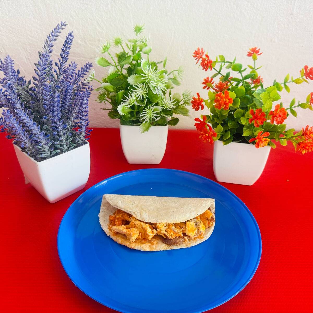 Taco de Salpicon