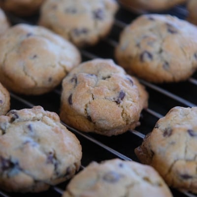 Classic Chocolate Chip