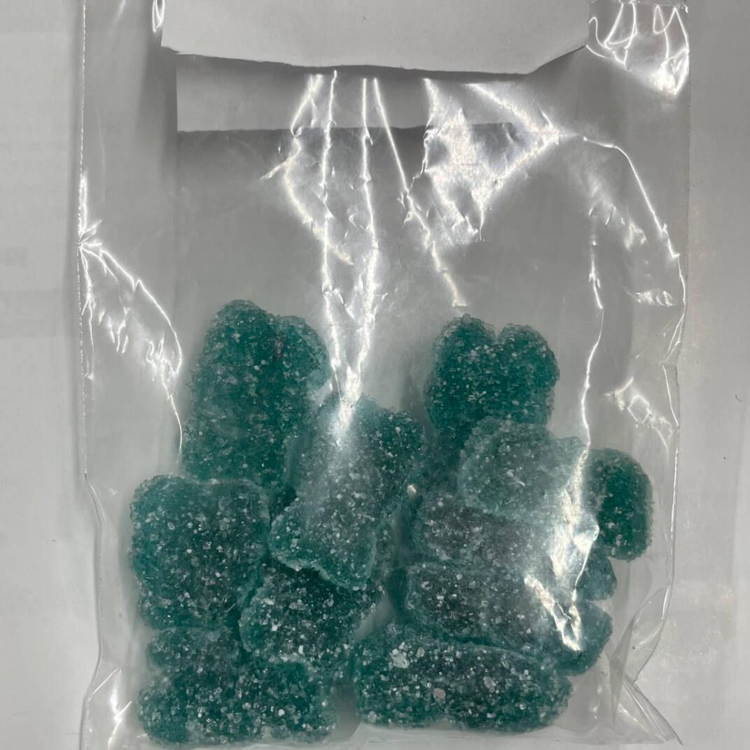 Panditas Azules