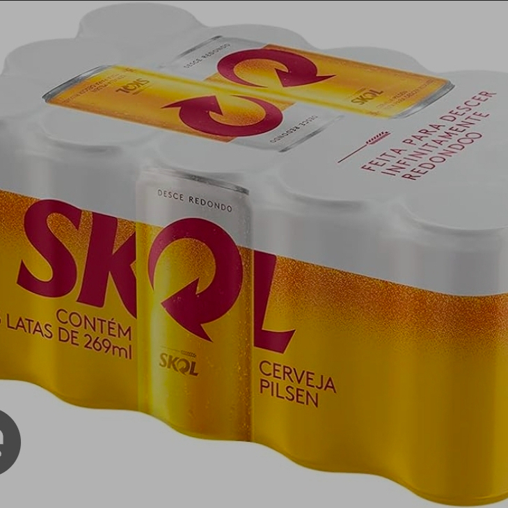 Cx skol 269ml 15 unidades