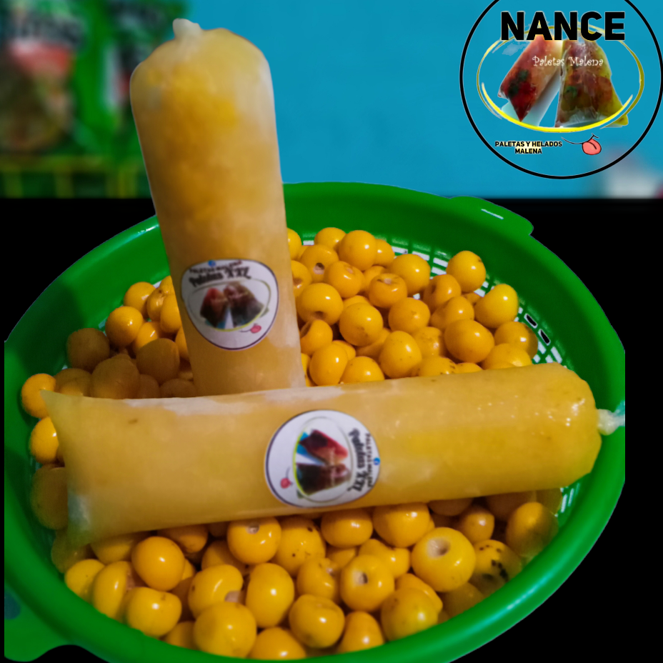 1 paleta xxl de nance