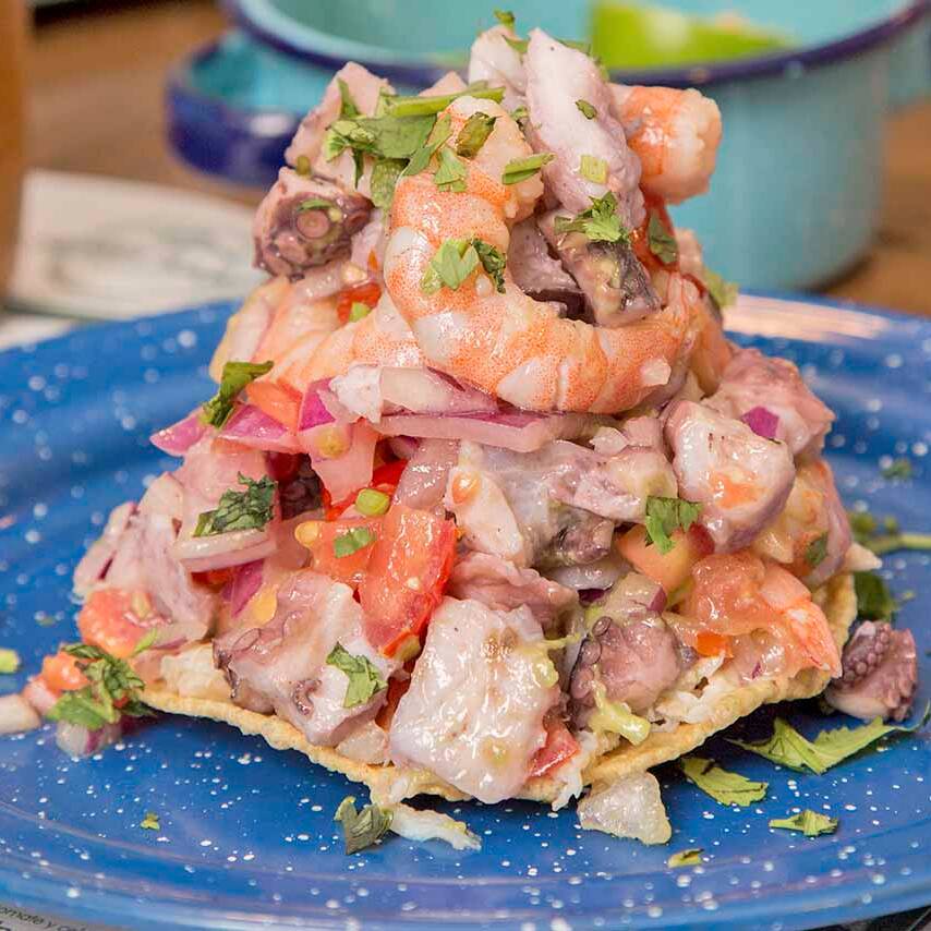 tostada madre