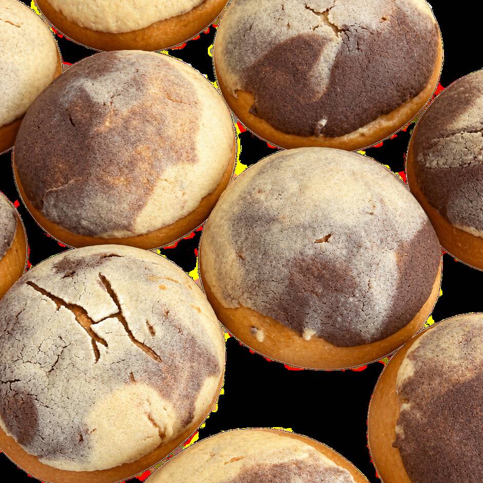 Conchas