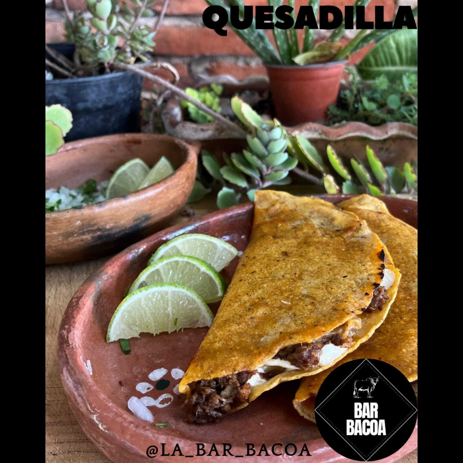 Quesadilla de Barbacoa