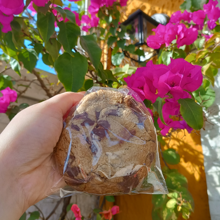 Massa de baunilha e chocolate, com gotas de chocolate ao leite 90g
