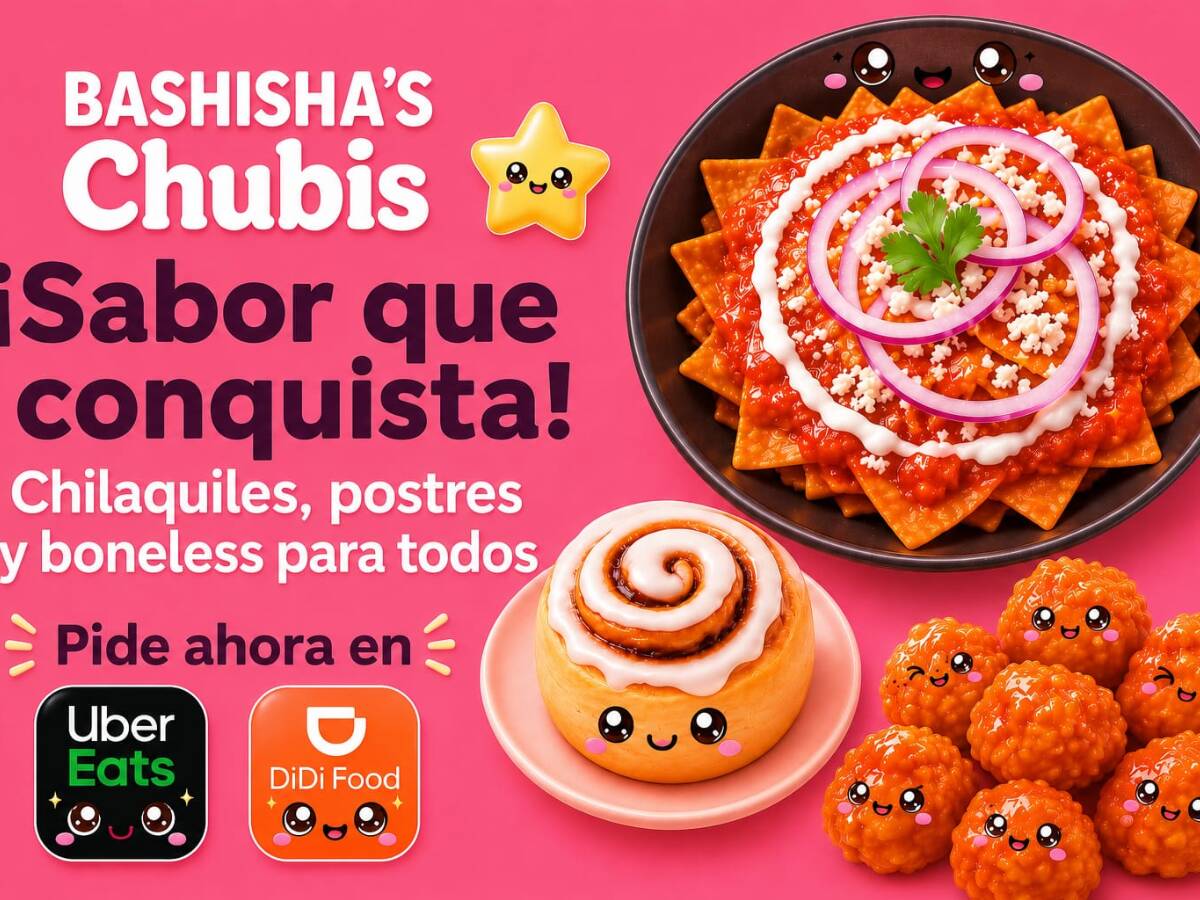 Bashishas Chubys