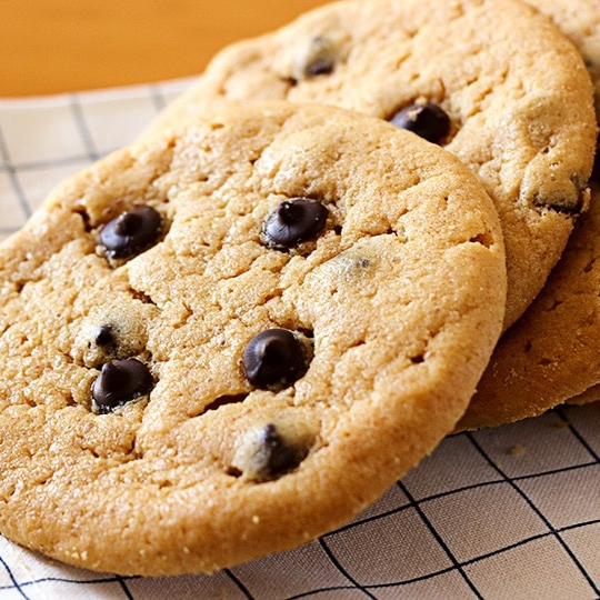 Galleta