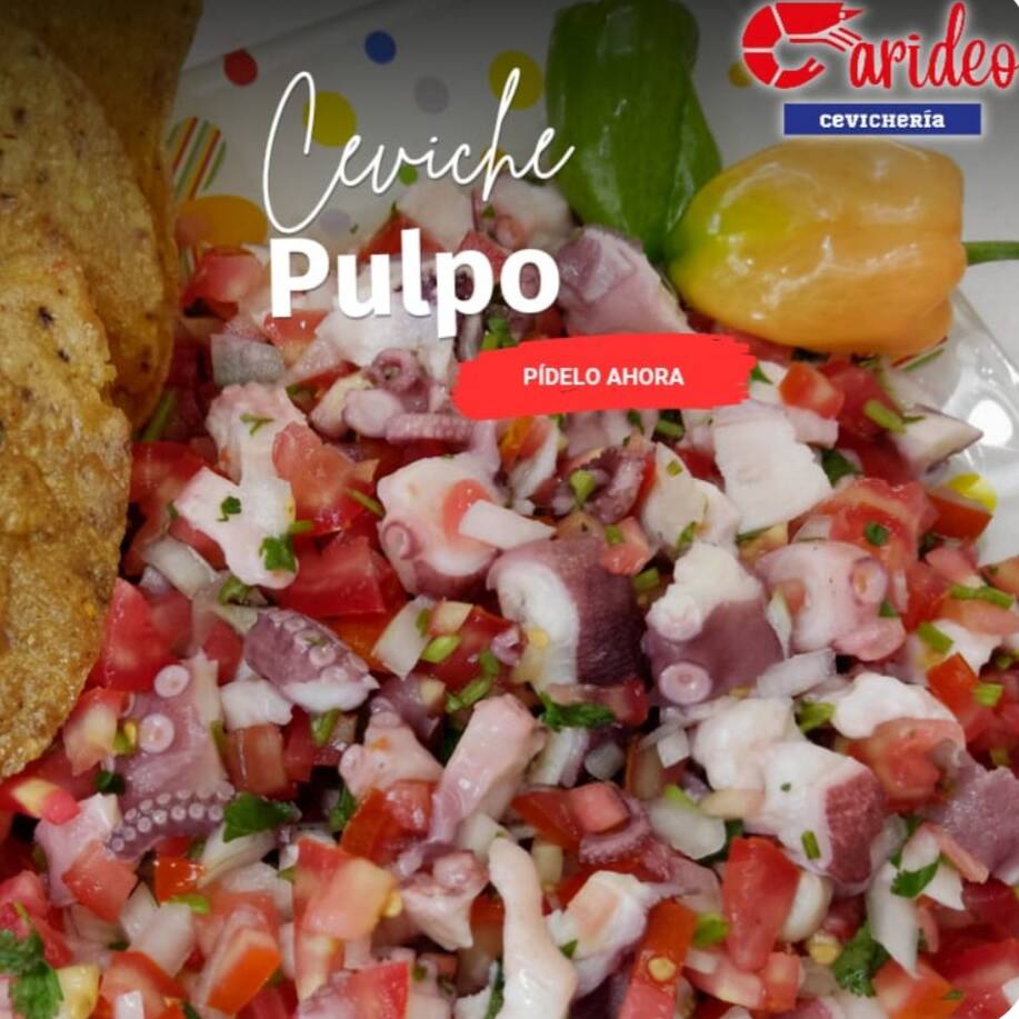 Ceviche Pulpo y Pescado 500gr