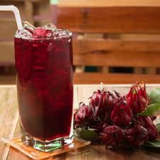 Agua de Jamaica de 500 Ml