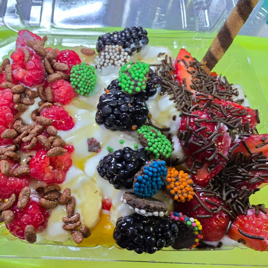 BIONICO CON FRUTOS ROJOS