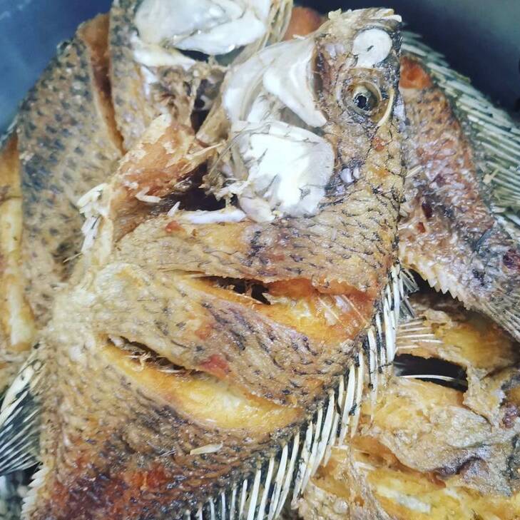 Mojarra Frita