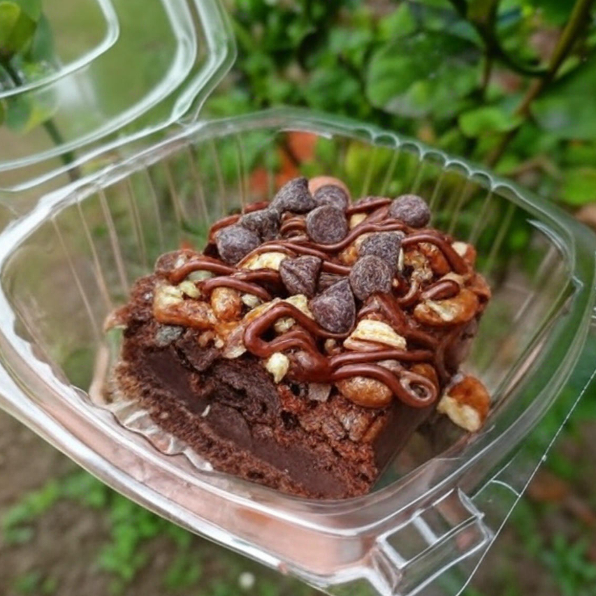 Brownie Tortuga