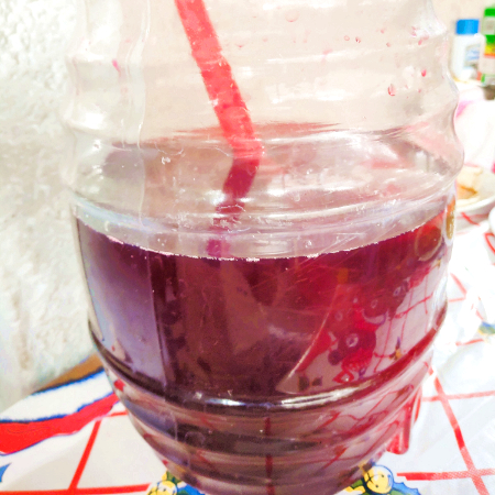 Agua de Jamaica 1 L