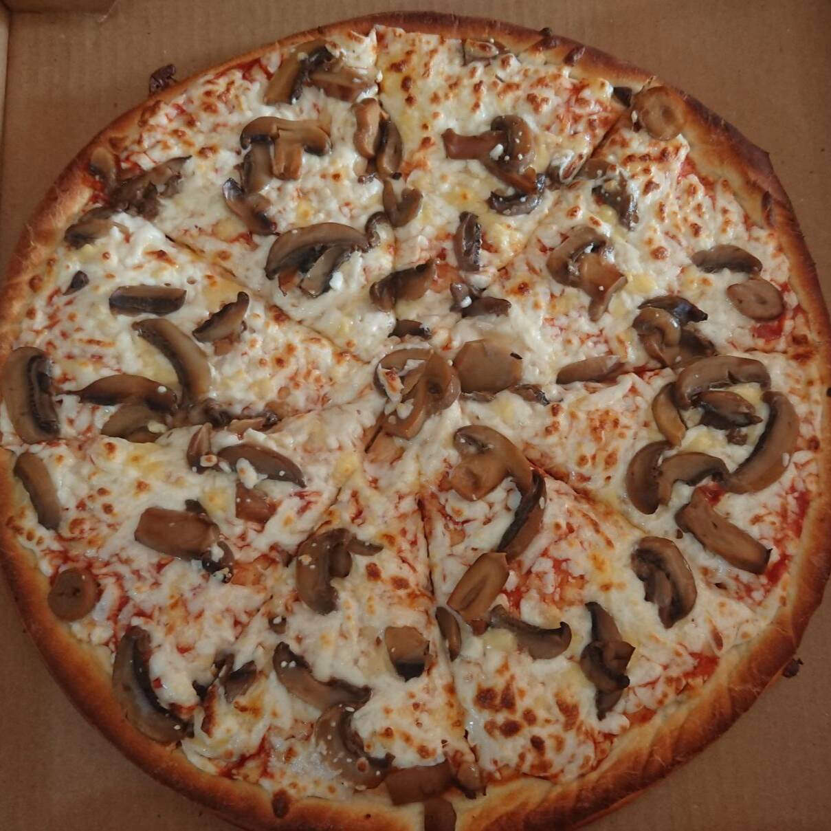 Pizza Grande 2 ingredientes + Dedos de queso