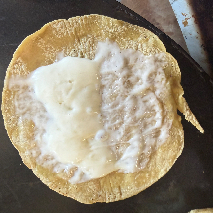 Quesadilla Sensilla