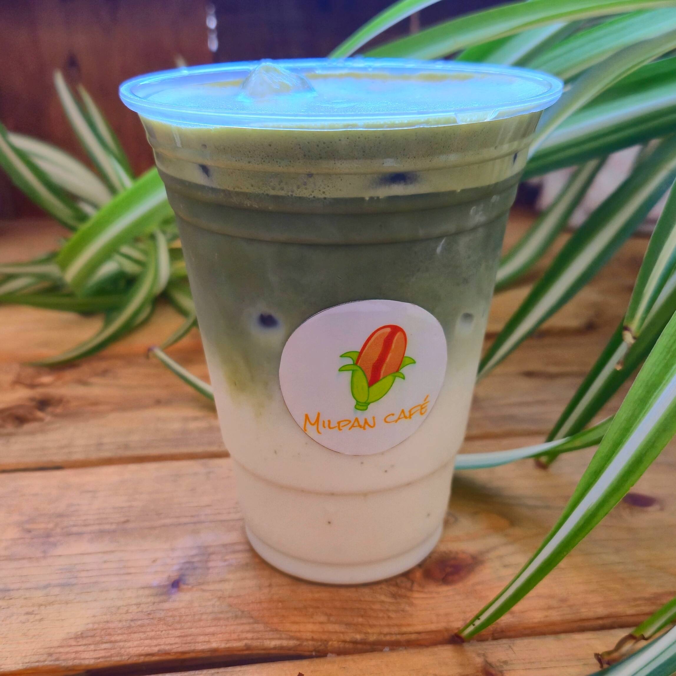 Matcha Rosal 12 Oz