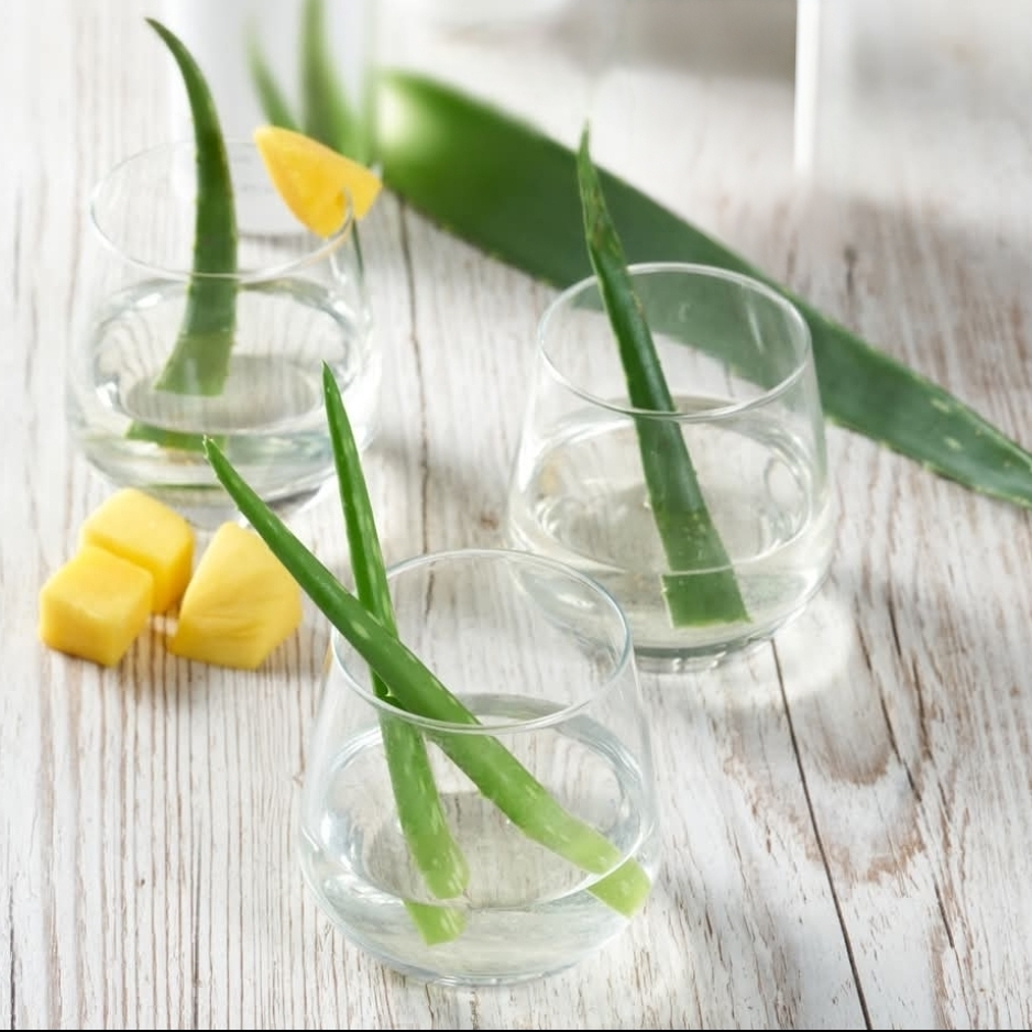 Té Aloe