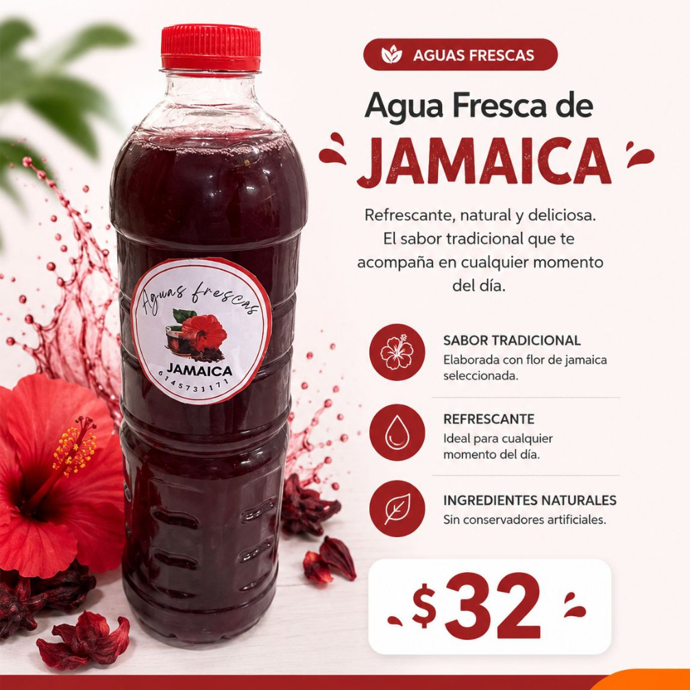 Agua de Jamaica 500 ml