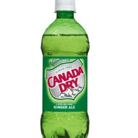 Canada Dry Ginger Ale 250ml
