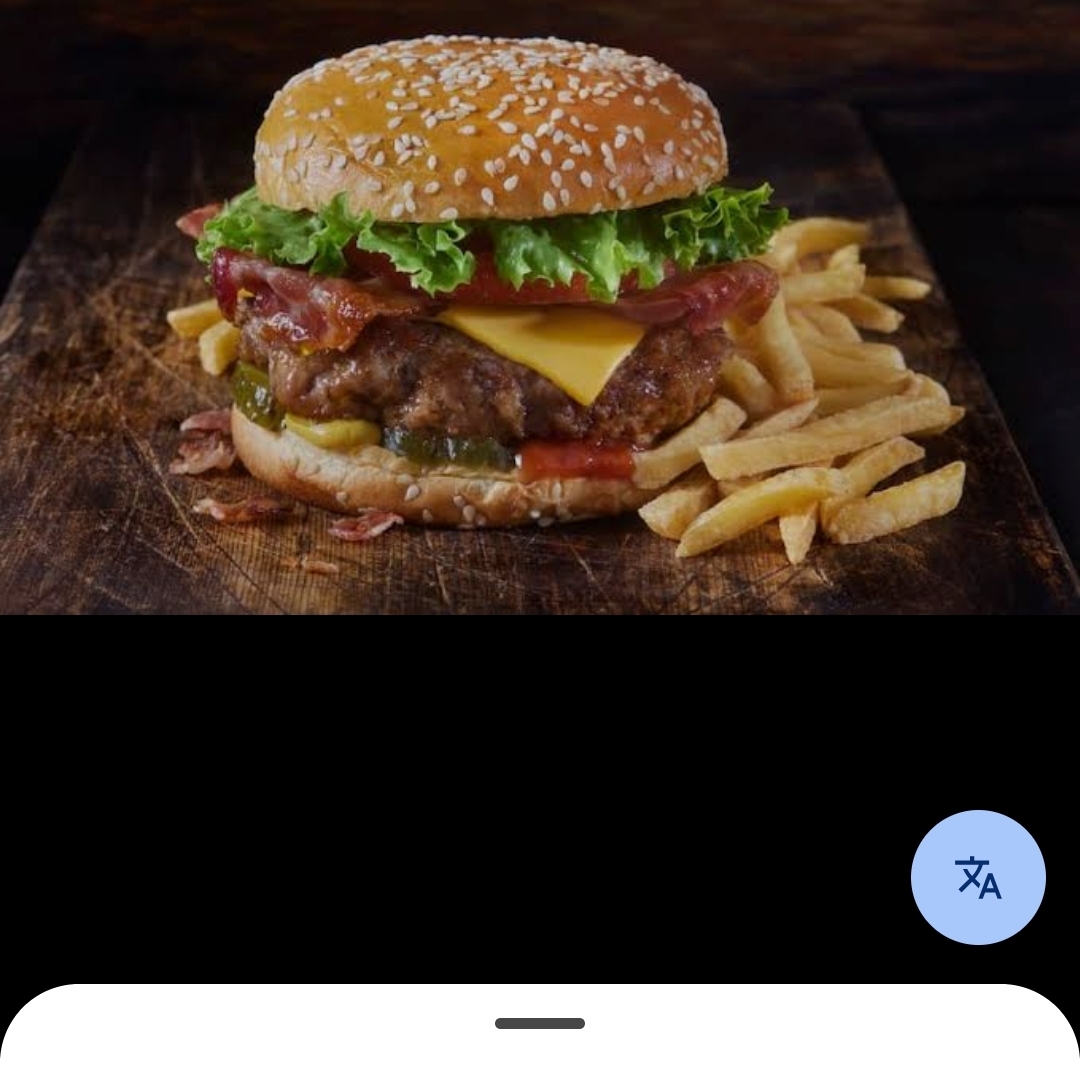 Hamburguesa Especial