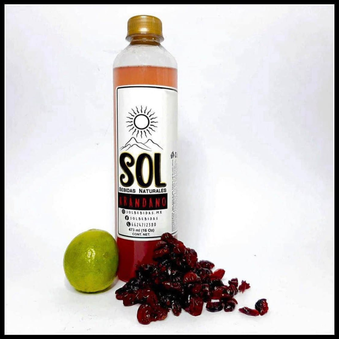 Agua de Arándanos 473ml