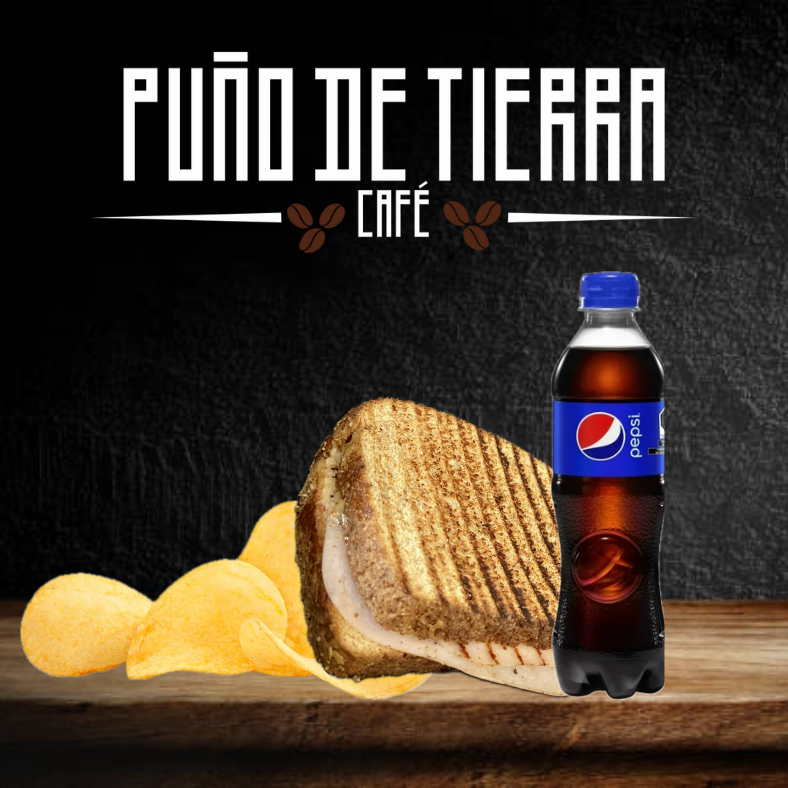 Combo Sándwich Integral + Refresco +Papas