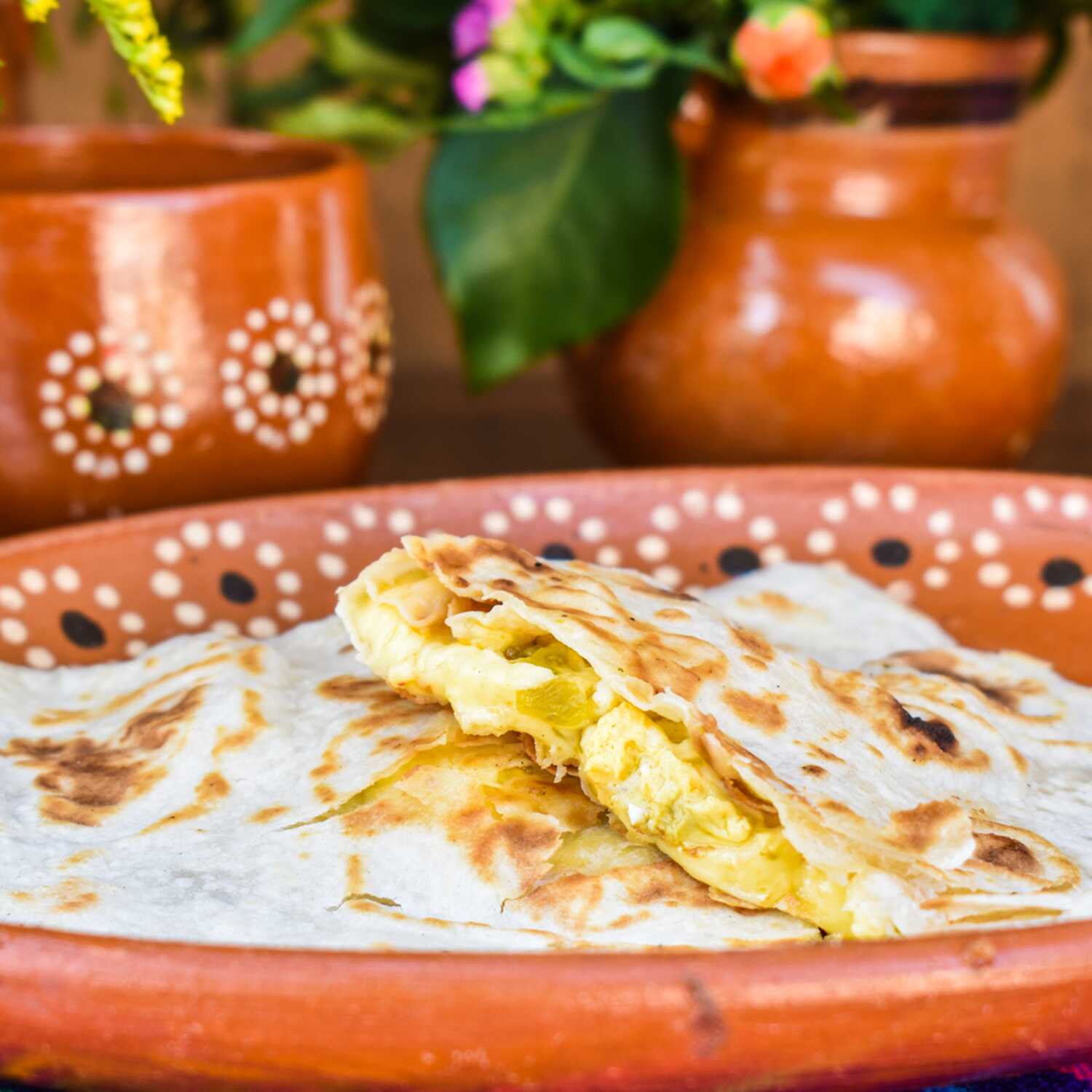 Quesadilla de Harina Especial