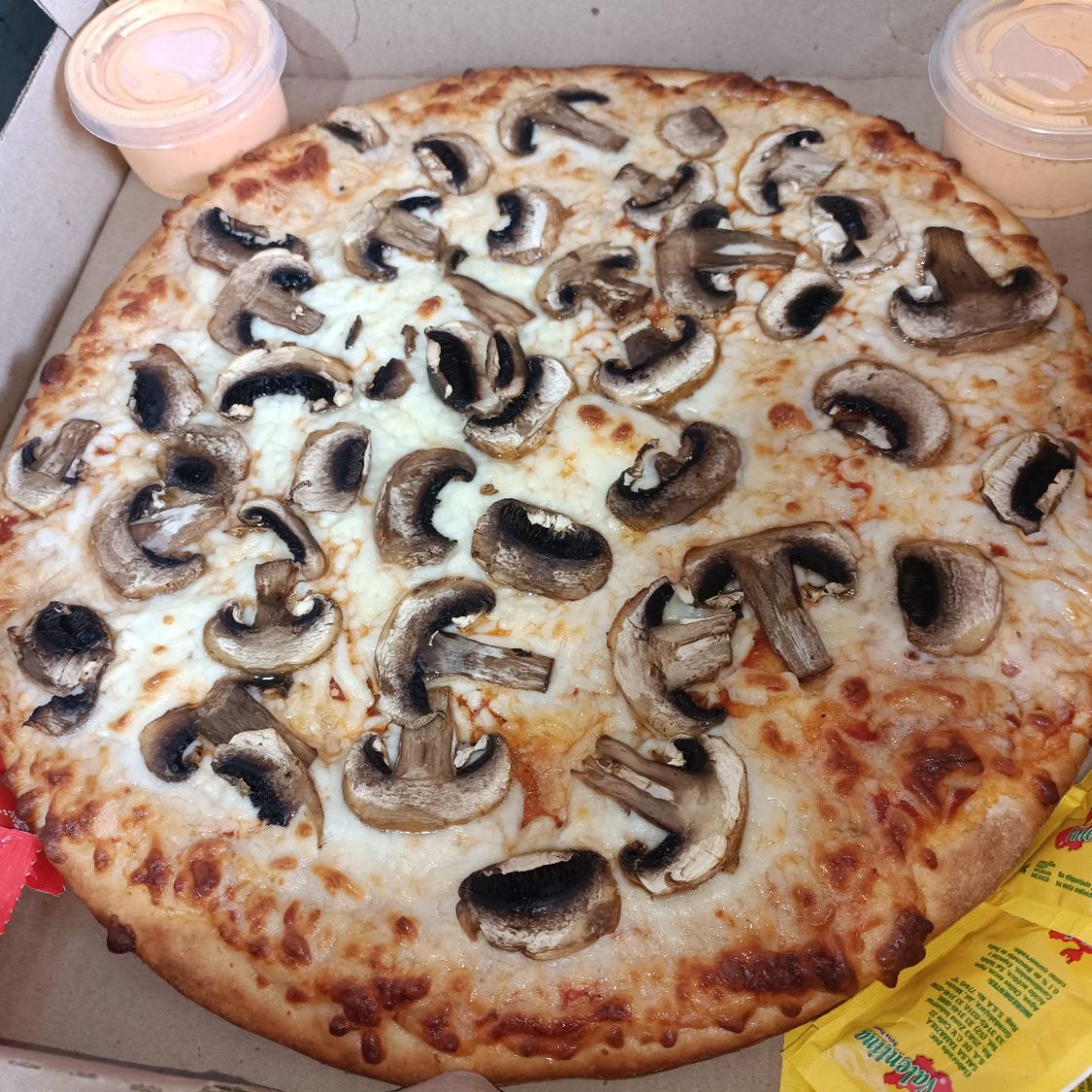 Pizza Familiar
