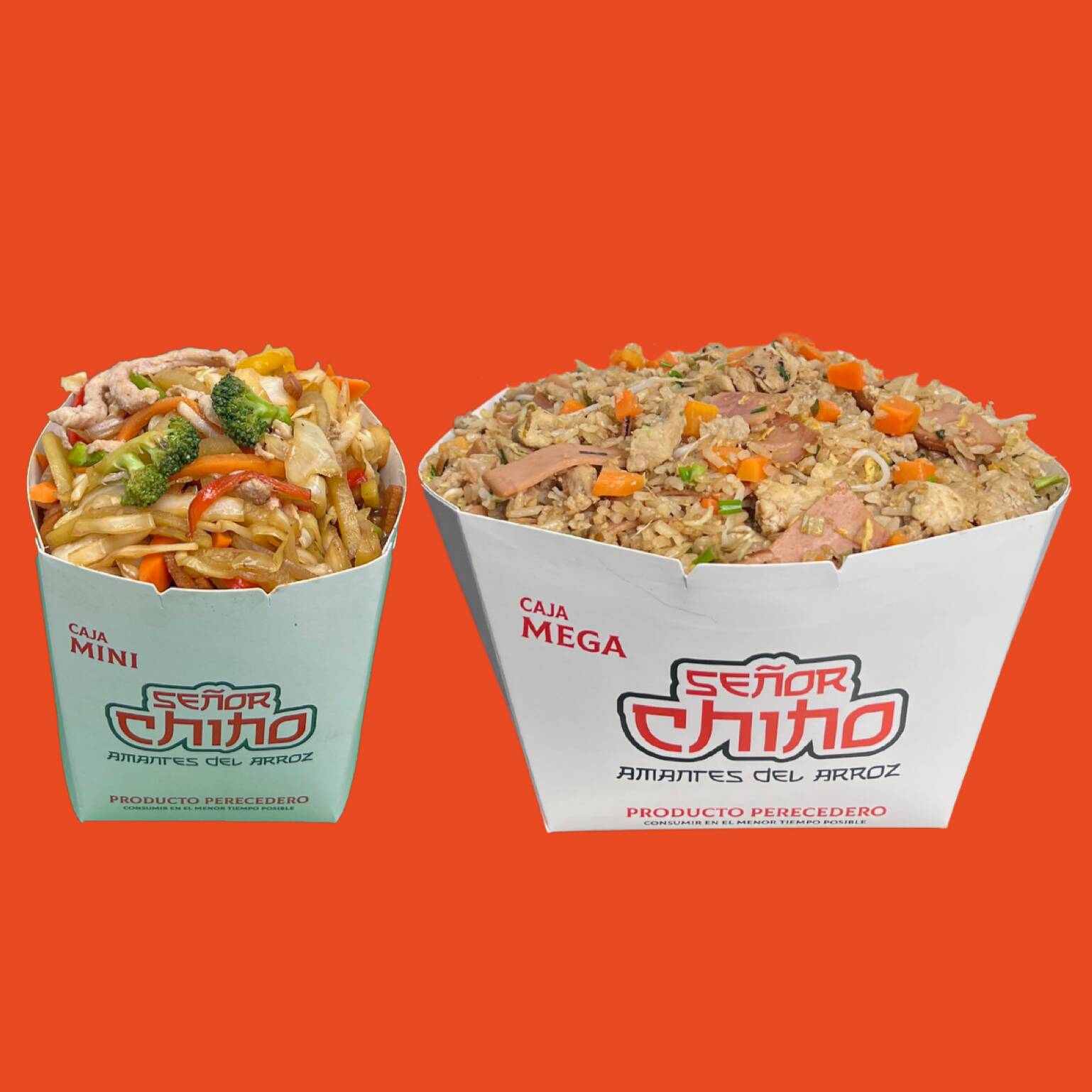 Mixto Chop Suey Mega