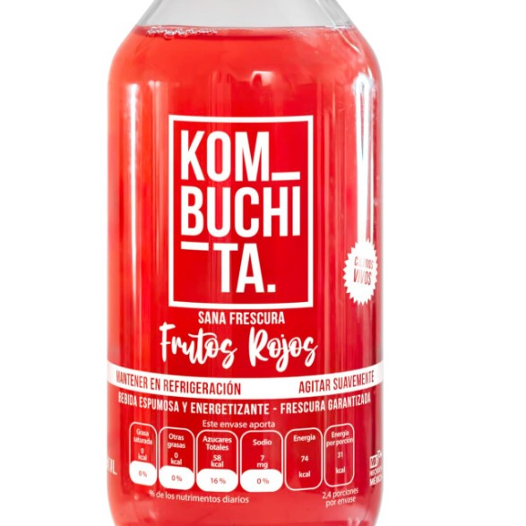 Kombuchita 240Ml