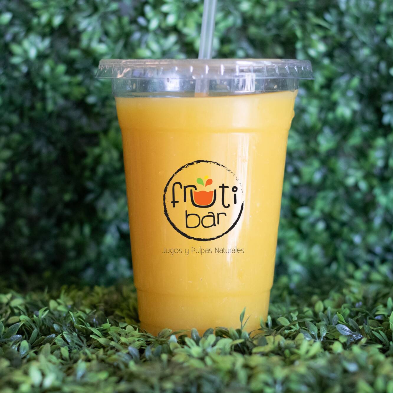 Jugo de Maracuyá 1/2 LT