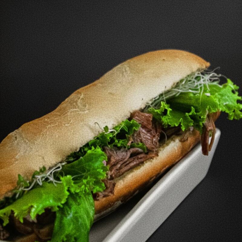 Baguette de Carne Deshebrada