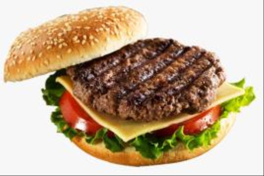 BURGER TERIYAKI