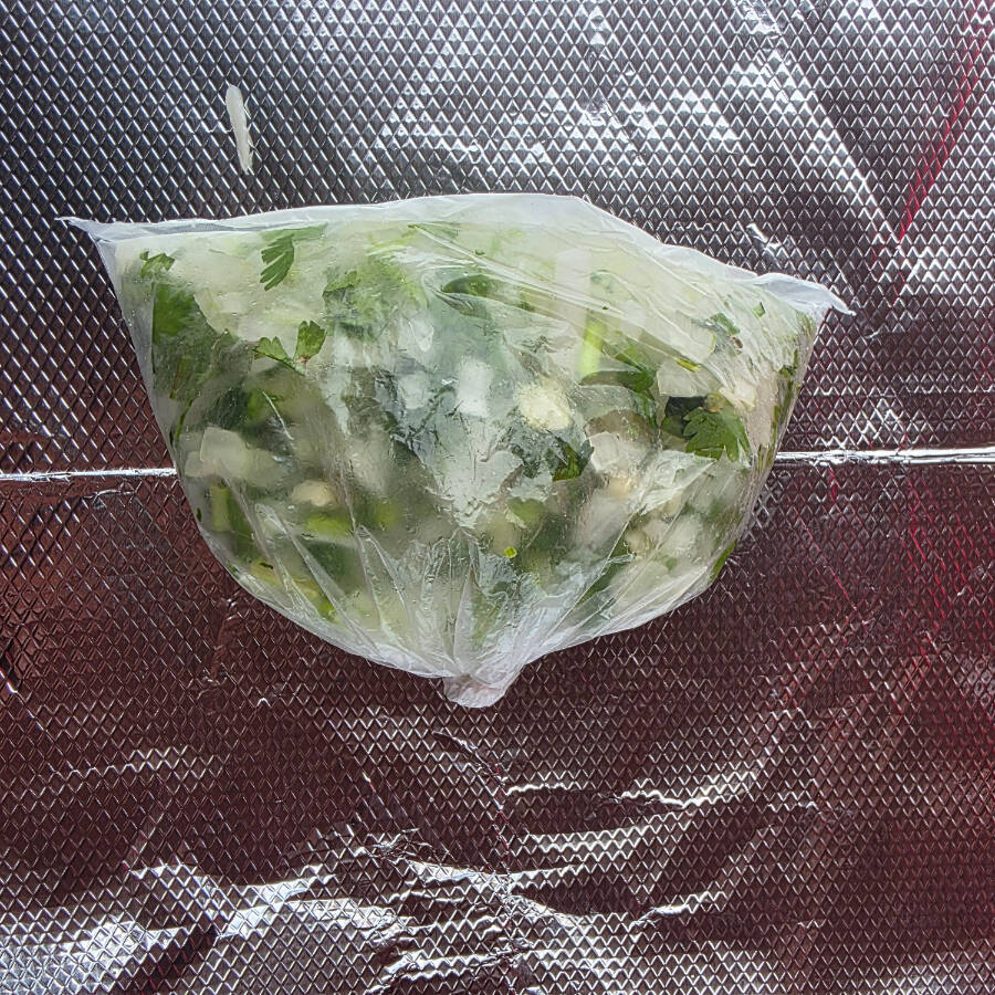CEBOLLA CON CILANTRO