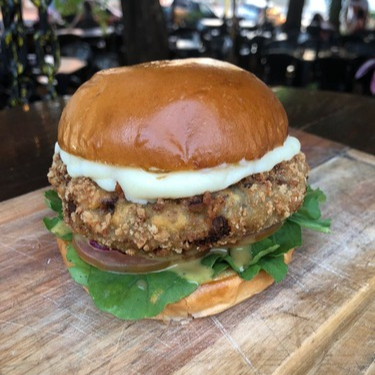 Pão Brioche, burger shimeji empanado, catupiry, tomate, rúcula, cebola roxa e mostarda e mel