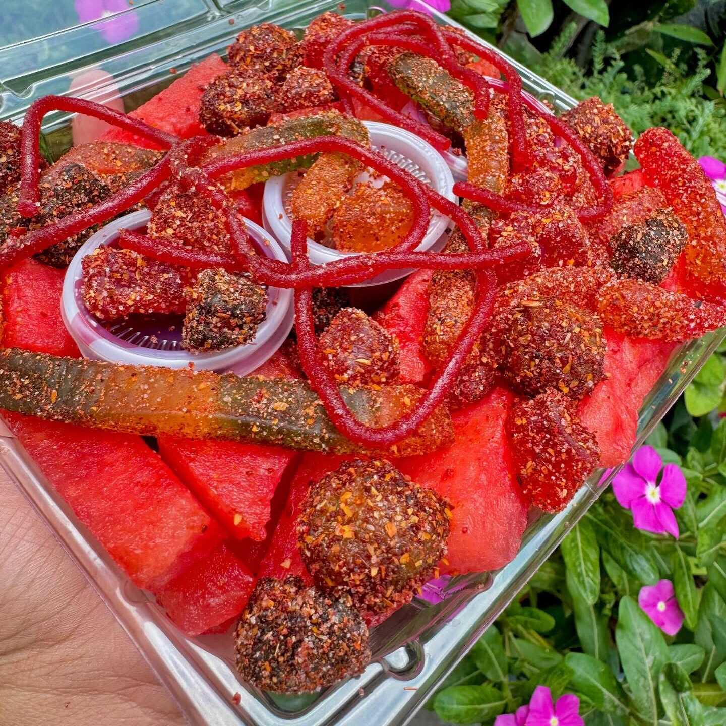 SANDIA SPICY