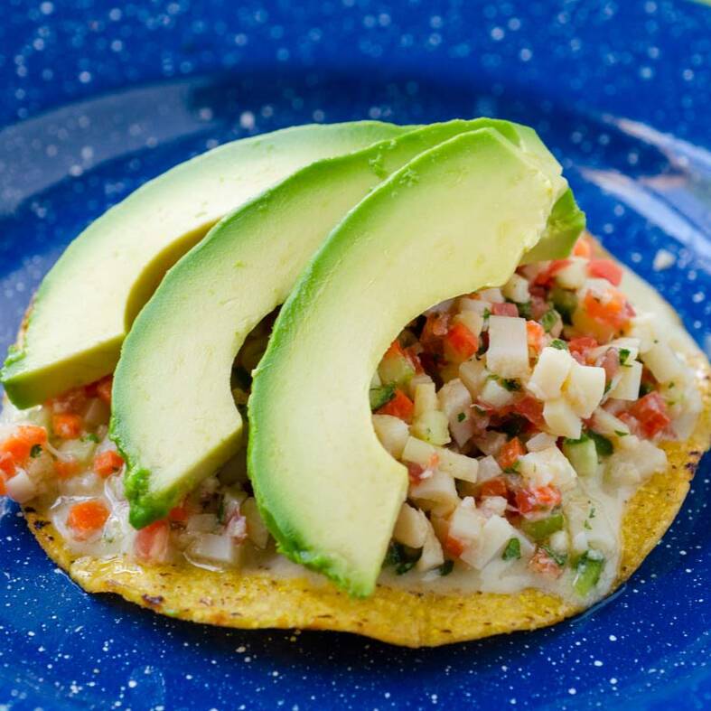 Tostada de Ceviche