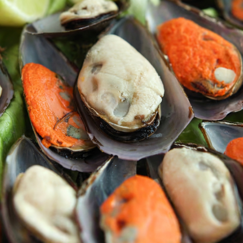 Deliciosos mariscos meia casca importados, refogados caprichosamente em delicioso molho napolitano.
