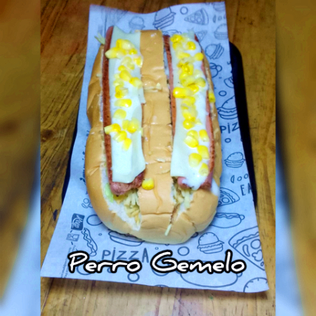 Perro Gemelo