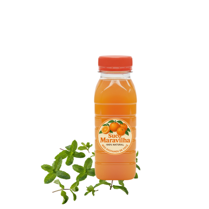 Suco de Laranja + Hortelã + Gelo