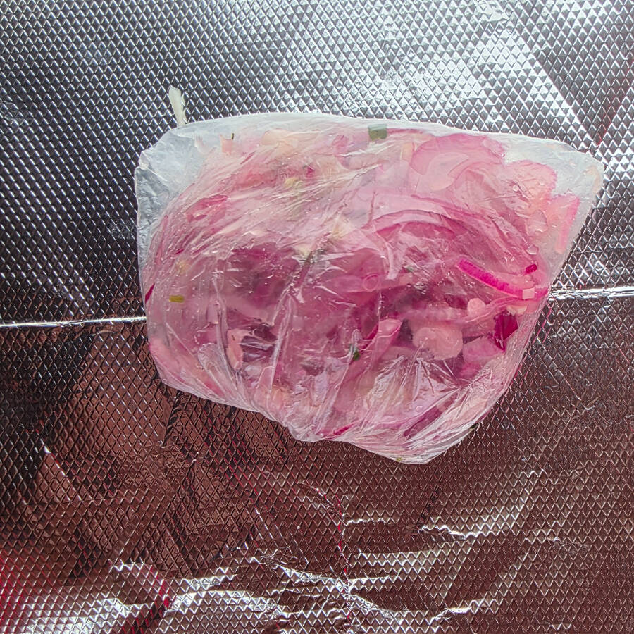 CEBOLLA CON HABANERO
