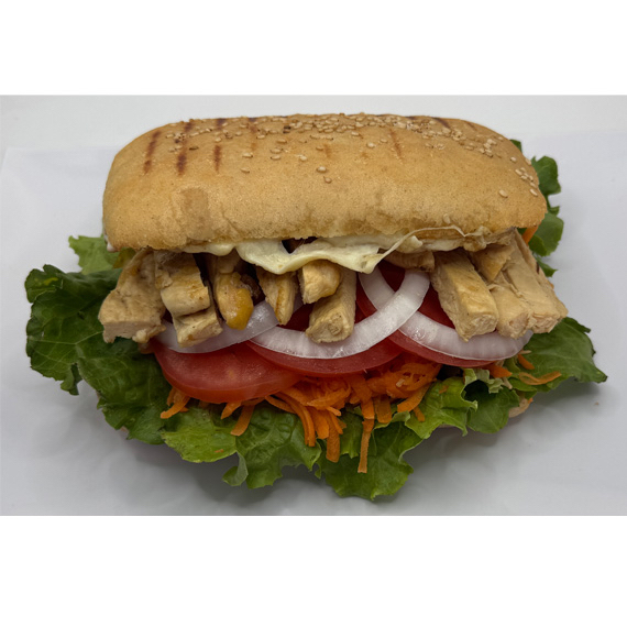 Panini